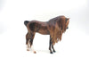 Leicestar-OOAK Dapple Chestnut Arabian Mare Draft By Caroline Boydston 8/15/22