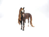 Leicestar-OOAK Dapple Chestnut Arabian Mare Draft By Caroline Boydston 8/15/22