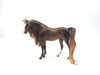 Leicestar-OOAK Dapple Chestnut Arabian Mare Draft By Caroline Boydston 8/15/22