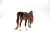 Leicestar-OOAK Dapple Chestnut Arabian Mare Draft By Caroline Boydston 8/15/22