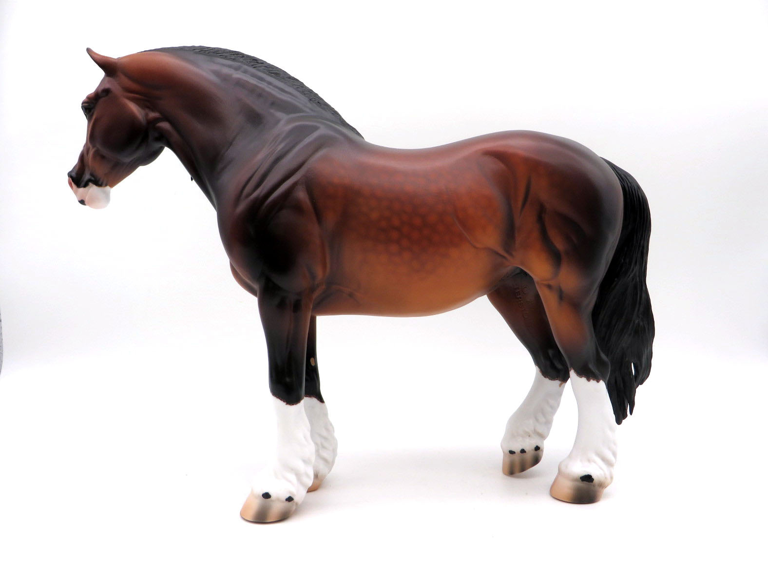 Arundel-Dapple Bay Heavy Draft  Mare By Caroline Boydston 8/15/22