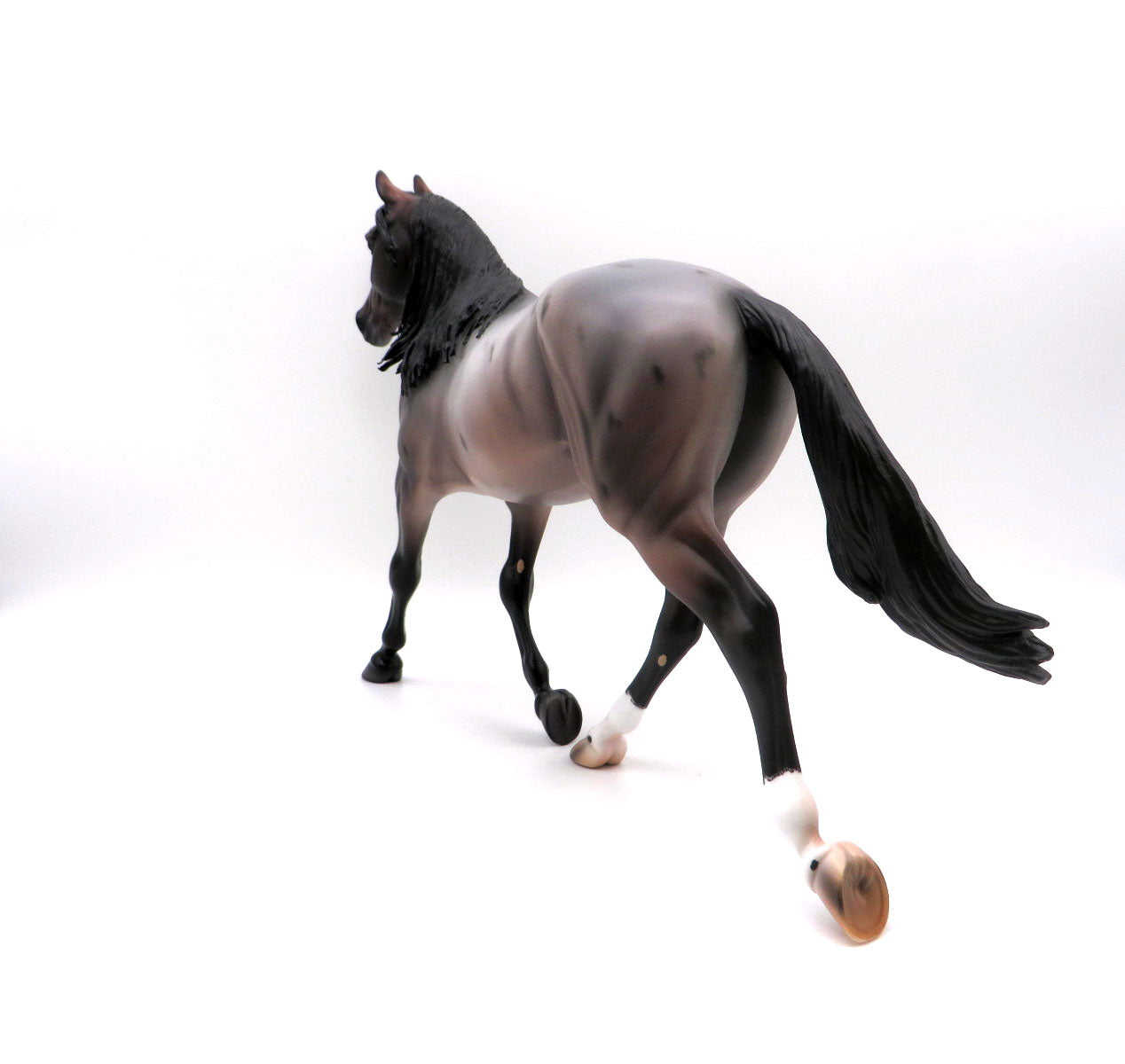 Norwich-OOAK Bay Roan Palouse Painted by Caroline Boydston 8/15/22