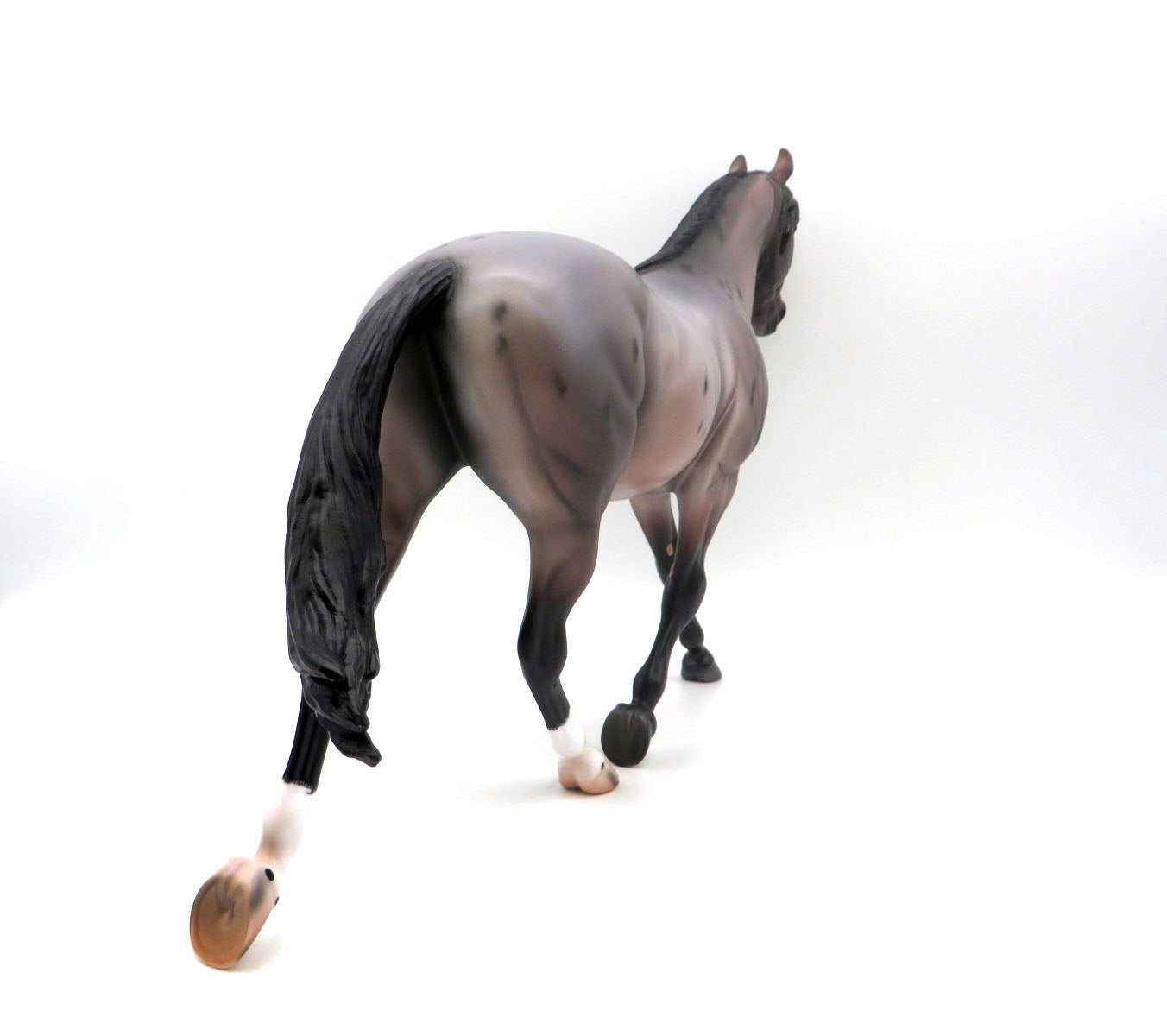 Norwich-OOAK Bay Roan Palouse Painted by Caroline Boydston 8/15/22