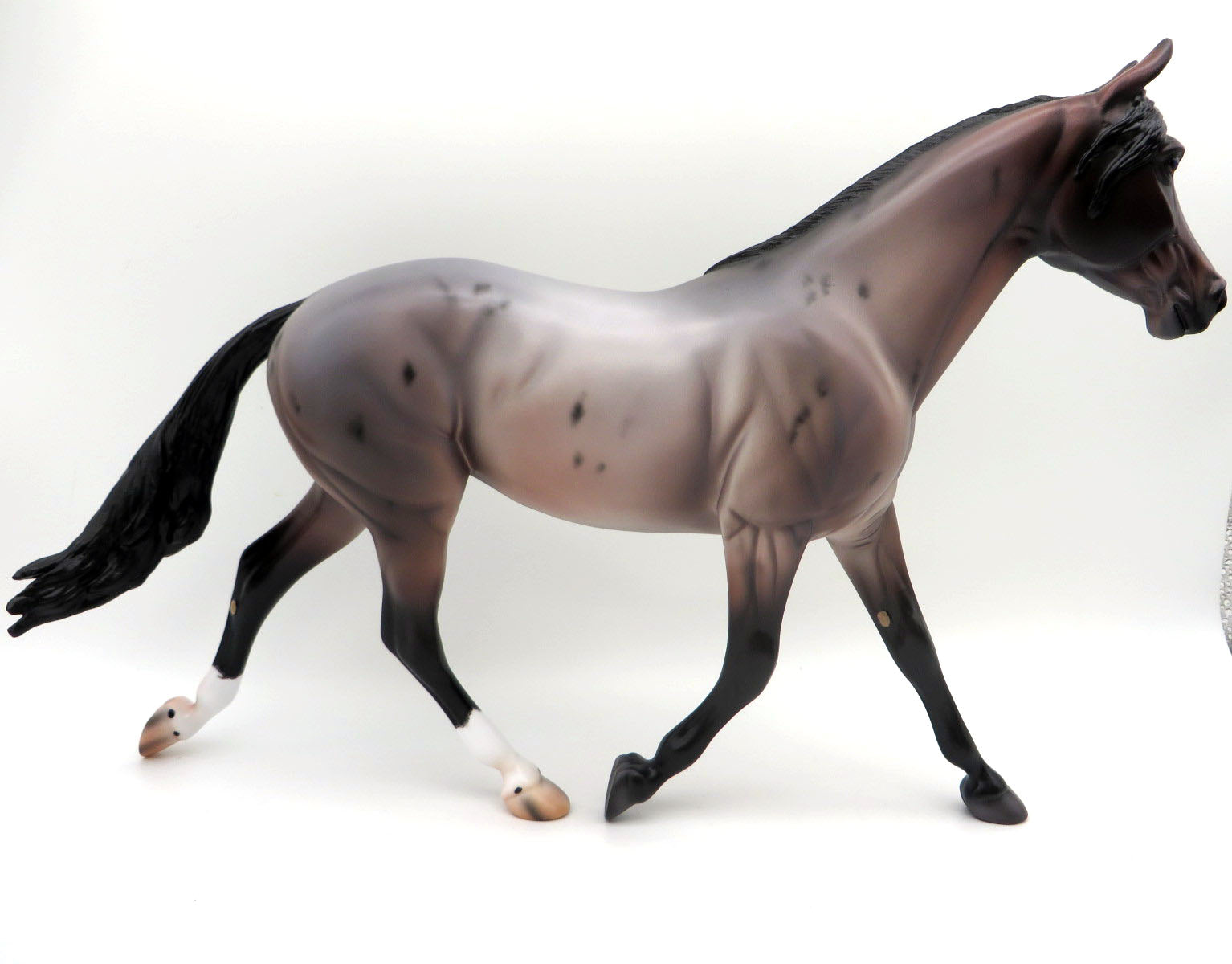 Norwich-OOAK Bay Roan Palouse Painted by Caroline Boydston 8/15/22