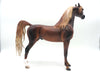 Glasgow-OOAK Dapple Chestnut Arabian By Caroline Boydston 8/15/22