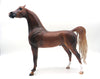 Glasgow-OOAK Dapple Chestnut Arabian By Caroline Boydston 8/15/22