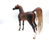 Glasgow-OOAK Dapple Chestnut Arabian By Caroline Boydston 8/15/22