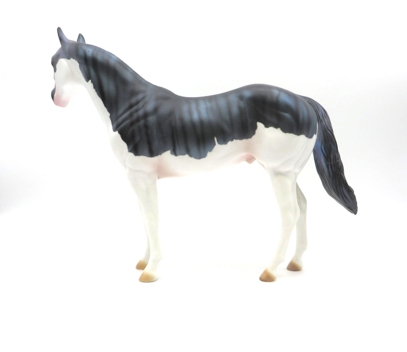 Brindle Tiger Shark Pattern | DAH Special 8/22