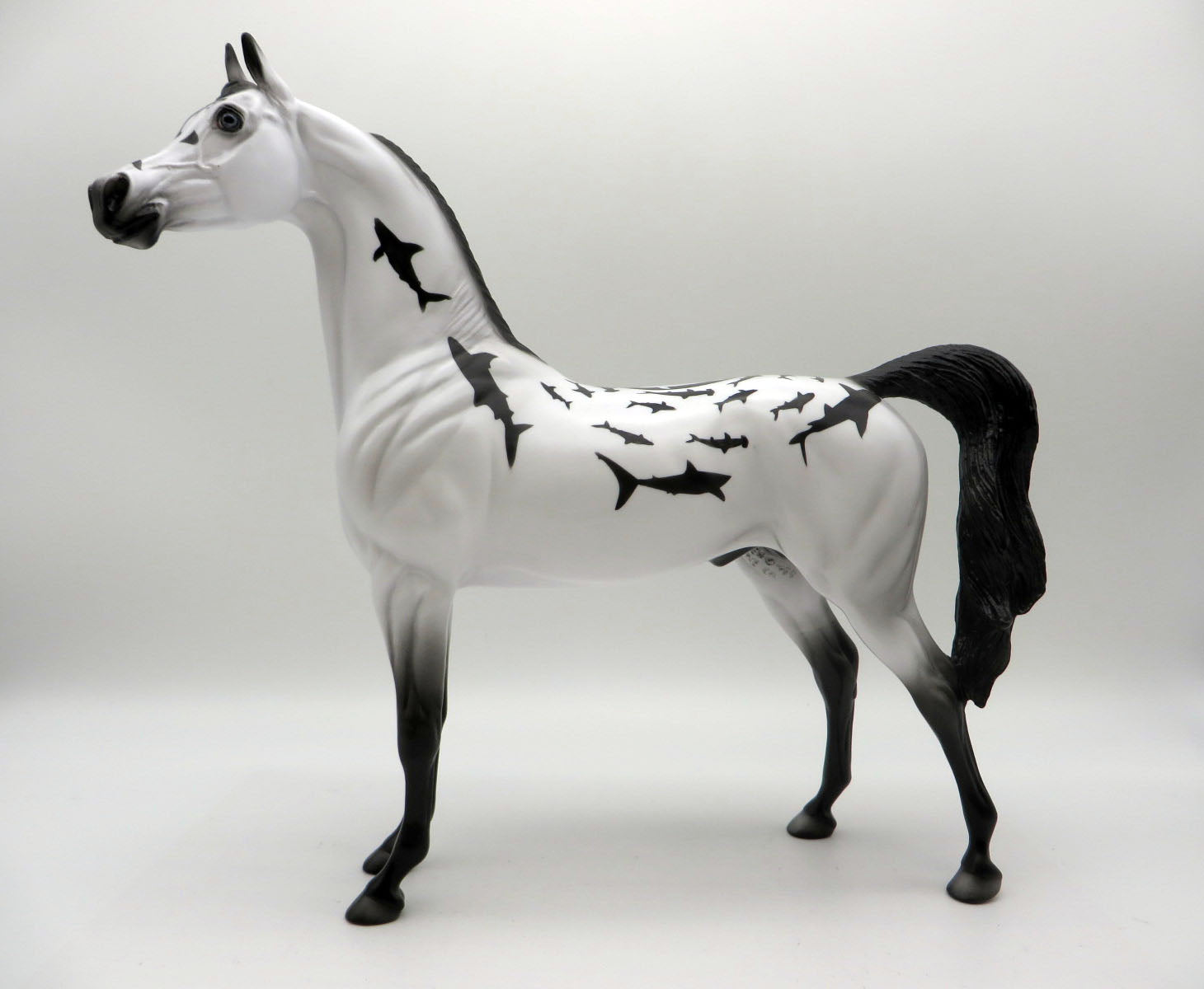 Shark Nose-OOAK Deco Arabian Shark Week 22