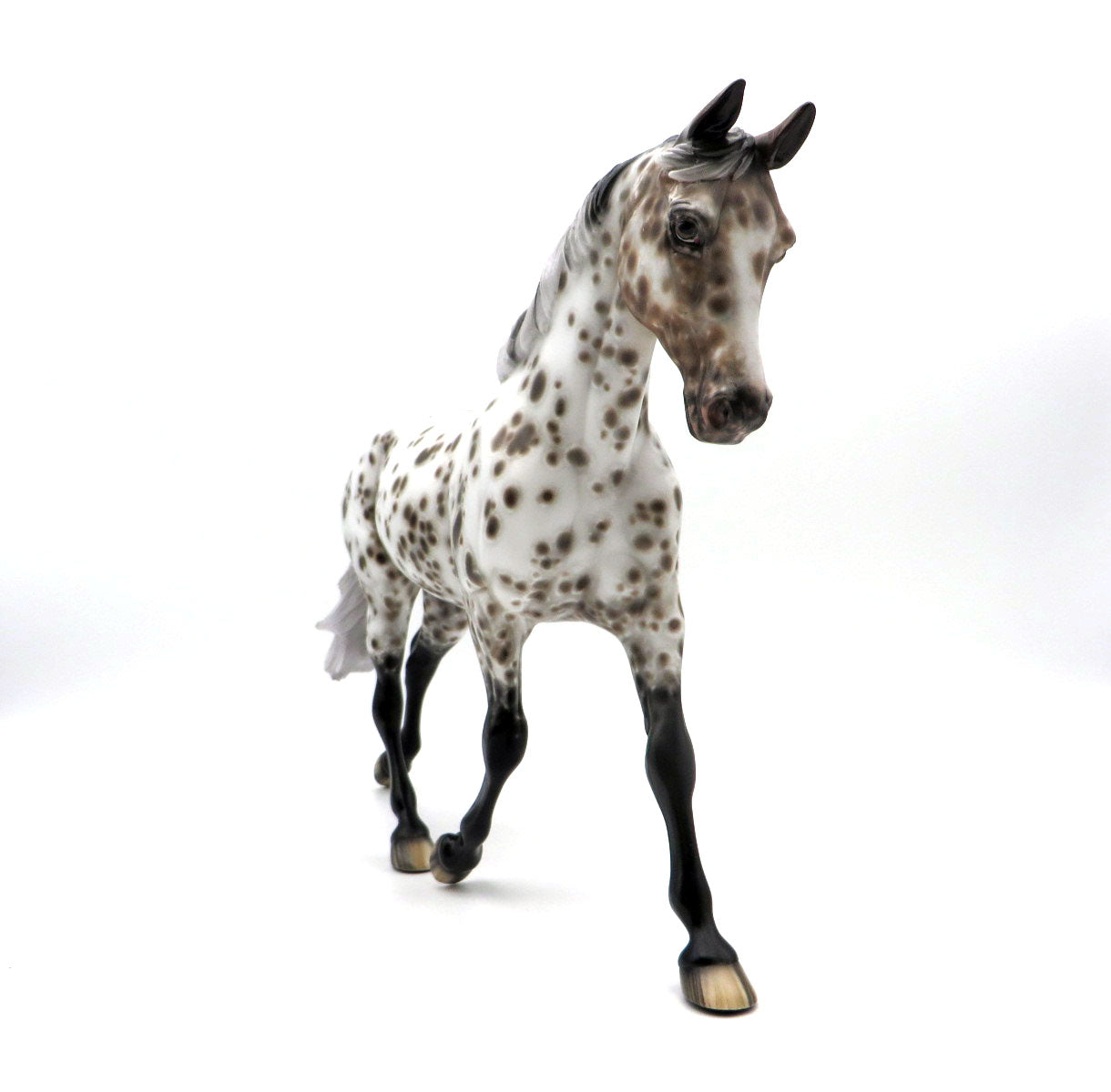 Mercy Mercy Me -OOAK Bay Appaloosa Palouse by Sheryl Leisure 8/24/22