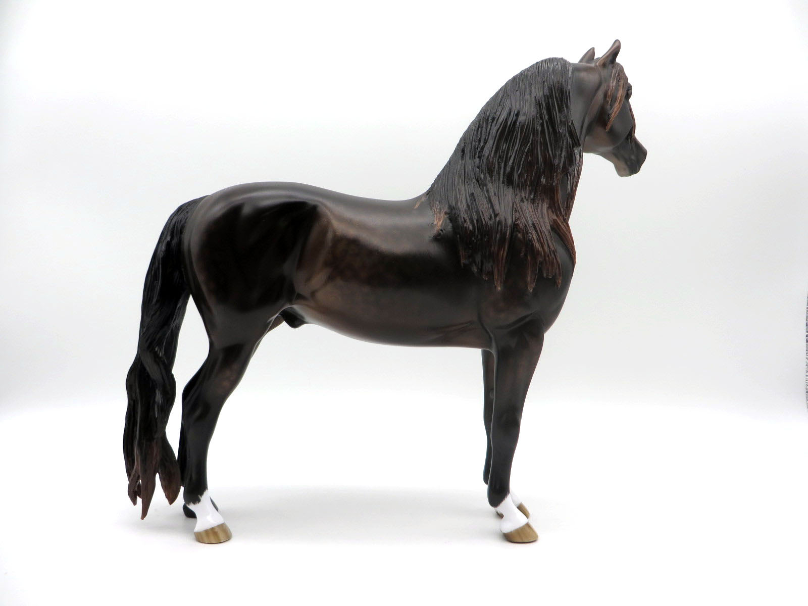 Rock in Paradise -OOAK Bay Morgan By Sheryl Leisure 9/2