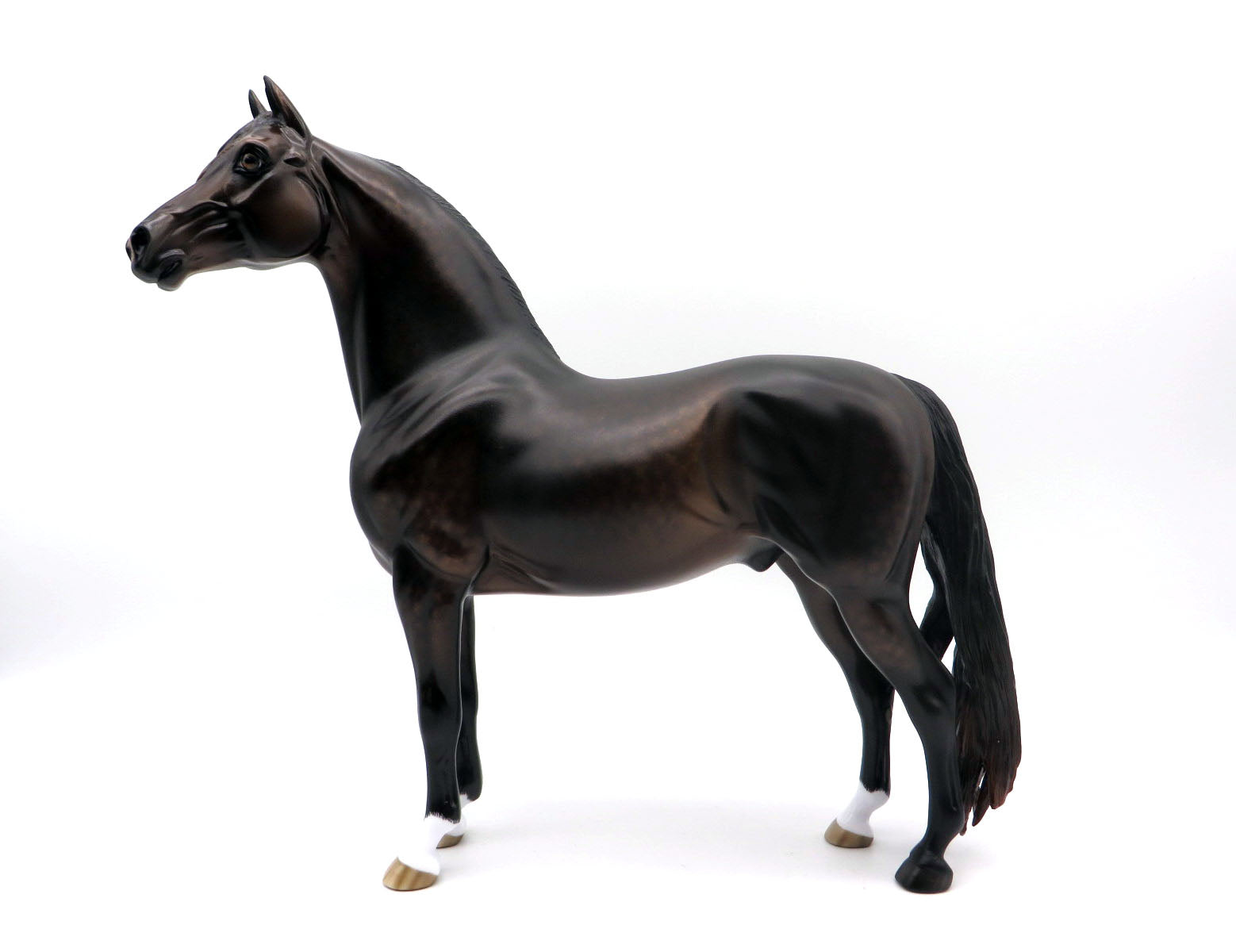 Rock in Paradise -OOAK Bay Morgan By Sheryl Leisure 9/2