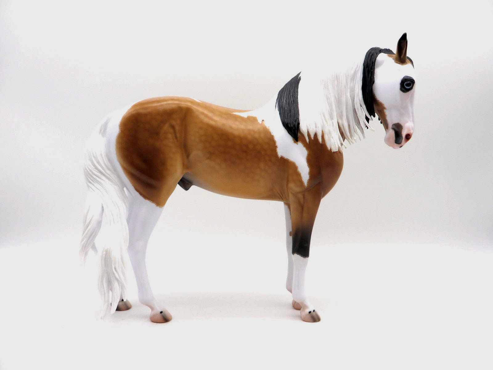 Plymouth-OOAK Dapple Etched Buckskin Pinto Andalusian By Caroline Boydston 8/24/22