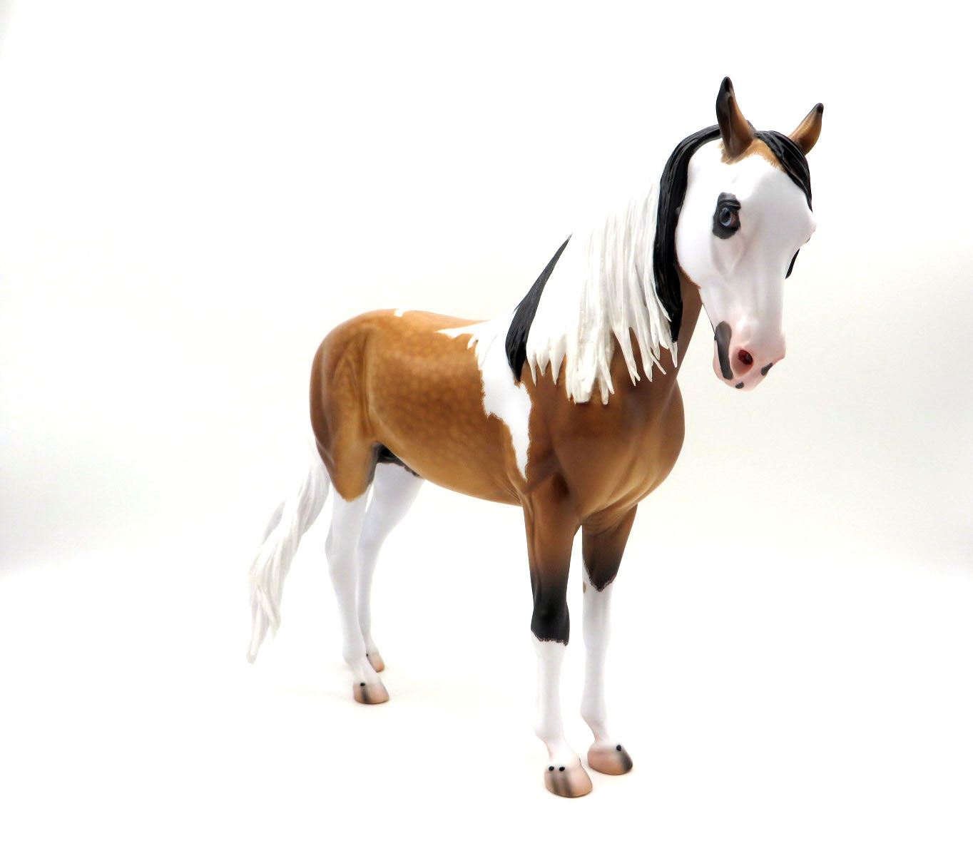 Plymouth-OOAK Dapple Etched Buckskin Pinto Andalusian By Caroline Boydston 8/24/22