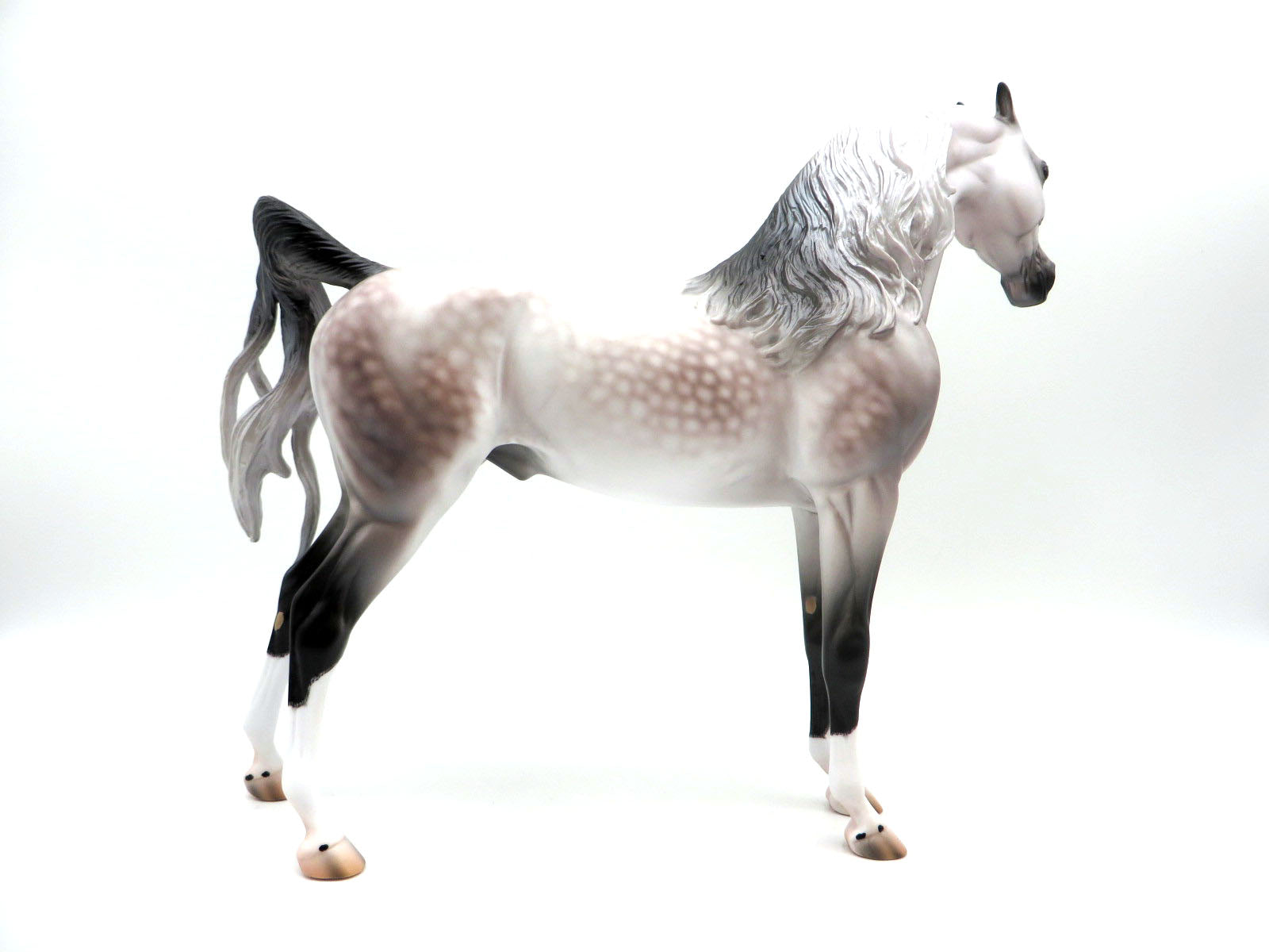 Nottingham-OOAK Dapple Rose Grey Arabian By Caroline Boydston 8/24/22