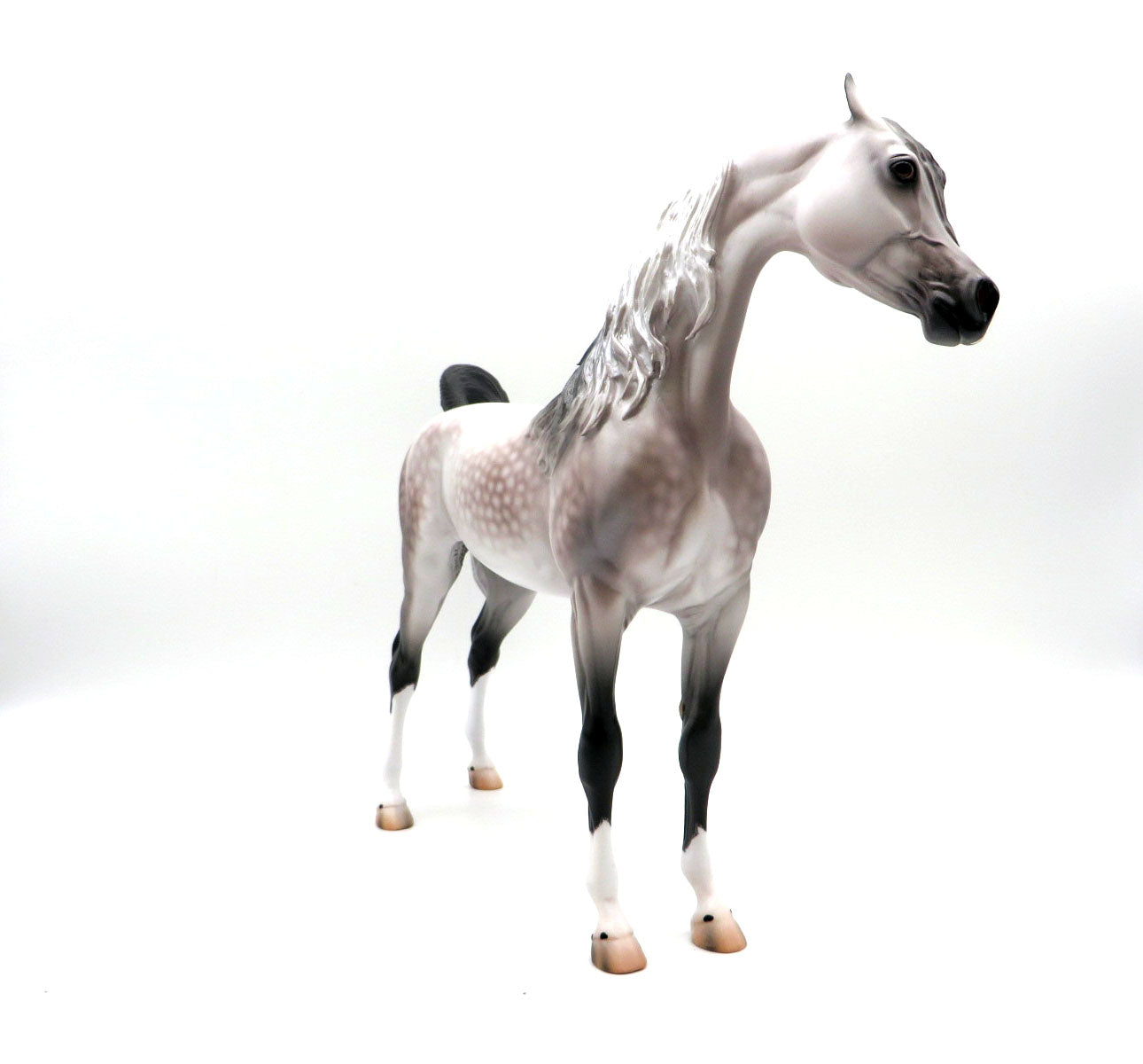 Nottingham-OOAK Dapple Rose Grey Arabian By Caroline Boydston 8/24/22