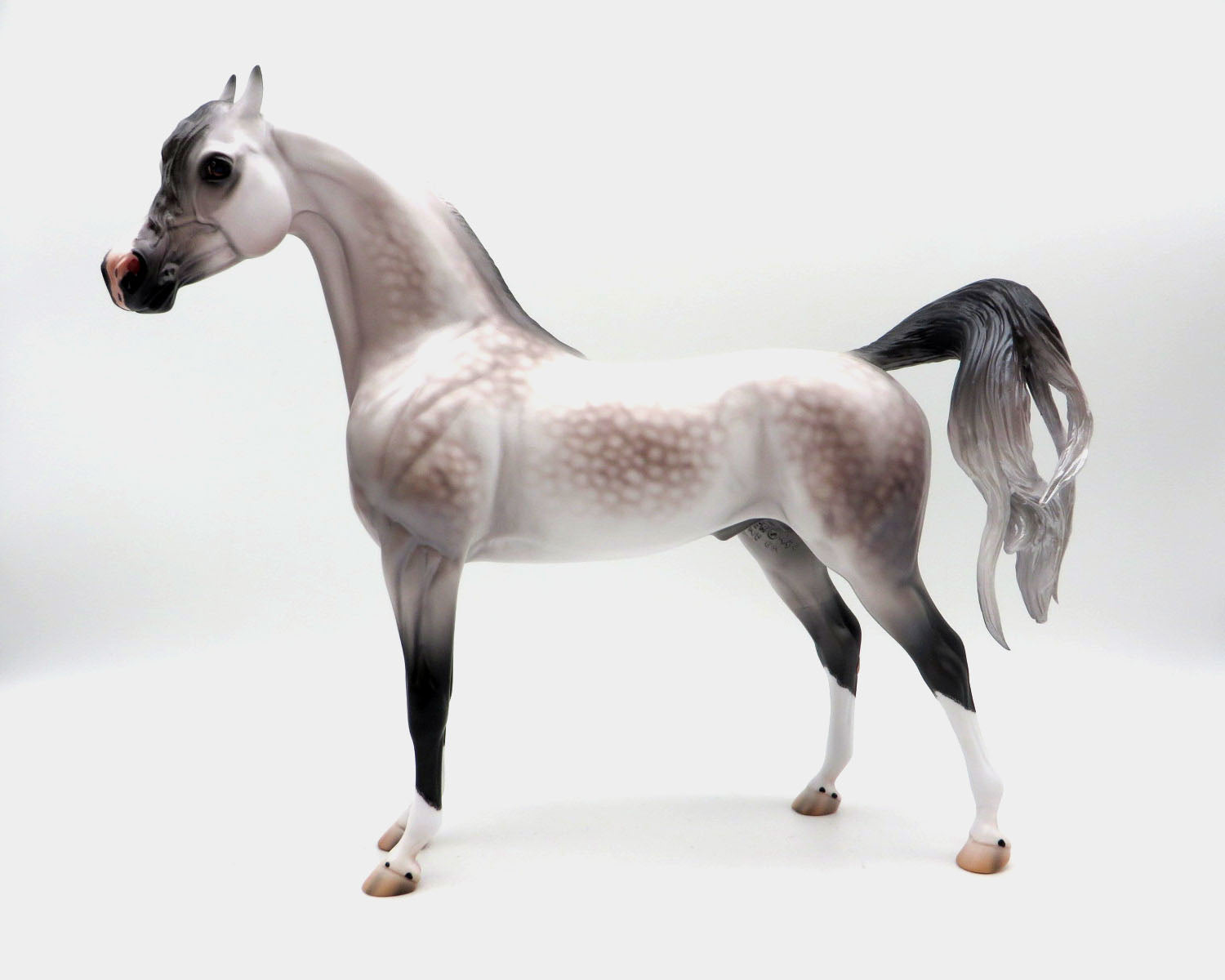 Nottingham-OOAK Dapple Rose Grey Arabian By Caroline Boydston 8/24/22