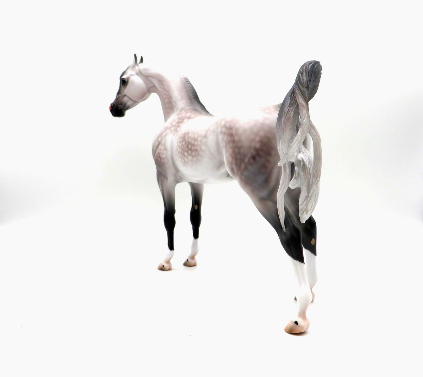 Nottingham-OOAK Dapple Rose Grey Arabian By Caroline Boydston 8/24/22