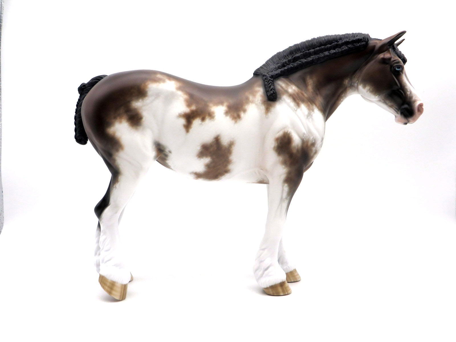 Rag Doll-Bay Sabino Painted by Sheryl Leisure 9/6/22