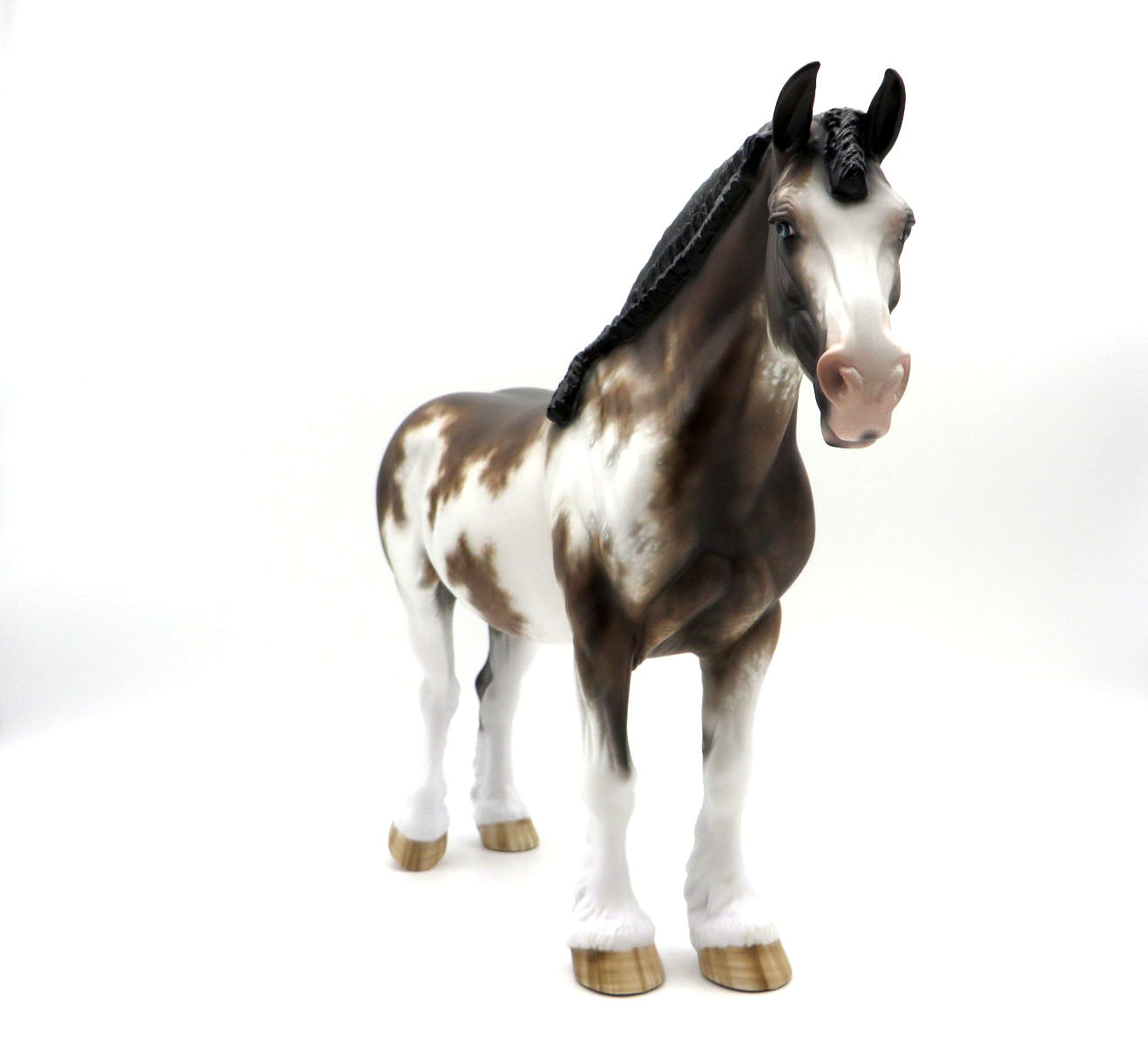 Rag Doll-Bay Sabino Painted by Sheryl Leisure 9/6/22