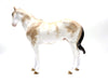 Lit From Within-OOAK Chestnut Sabino Ideal Stock Horse 9/6/22