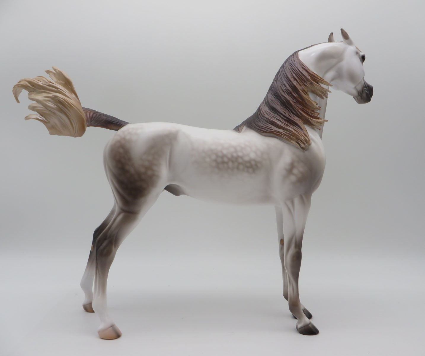 Fox on the Run-OOAK Dapple Mulberry Gray Arabian By Caroline Boydston 11/14/22