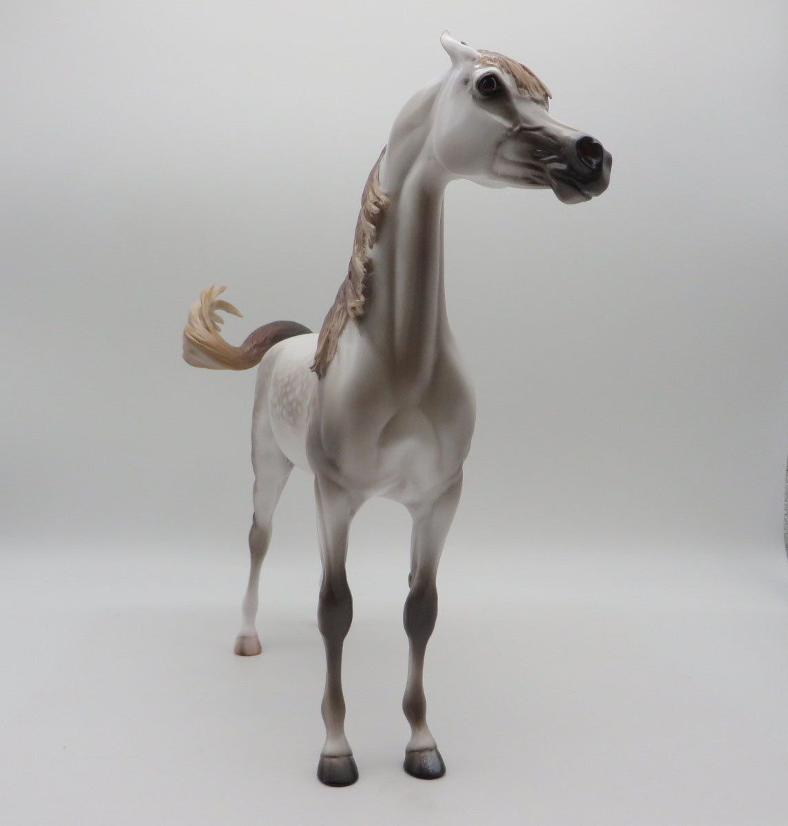 Fox on the Run-OOAK Dapple Mulberry Gray Arabian By Caroline Boydston 11/14/22