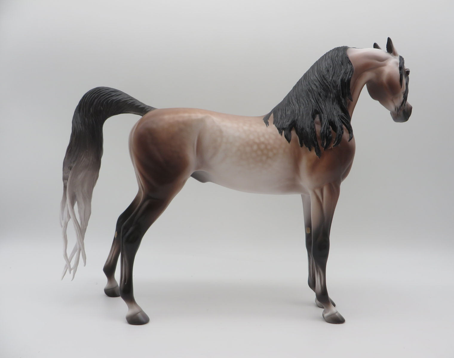 Year of the Fox-OOAK Dapple Rose Grey Arabian By Caroline Boydston 11/14/22