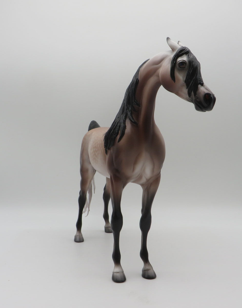 Year of the Fox-OOAK Dapple Rose Grey Arabian By Caroline Boydston 11/14/22