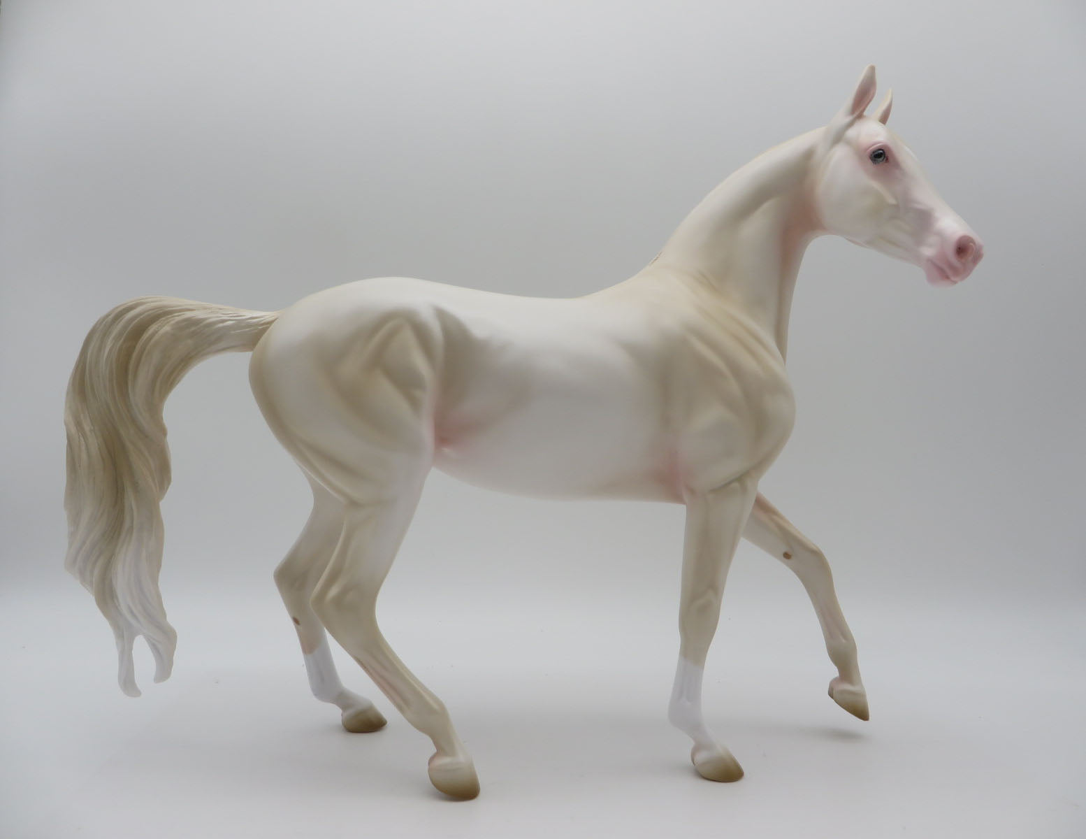 SAMPLE Asmanda Loyalty Release Akhal Teke Cremello By Ashley Palmer