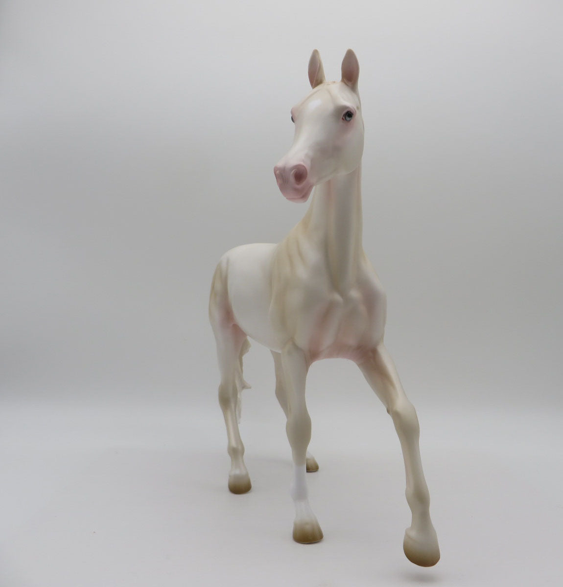 Loyalty Release- Custom Akhal-Teke Mare 3 Color Choices 11/22 Loyalty Club 22/23