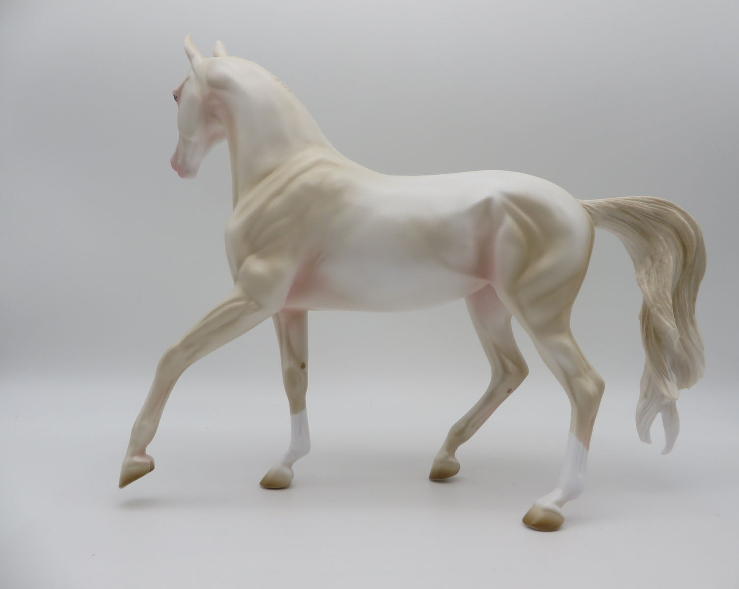 Loyalty Release- Custom Akhal-Teke Mare 3 Color Choices 11/22 Loyalty Club 22/23