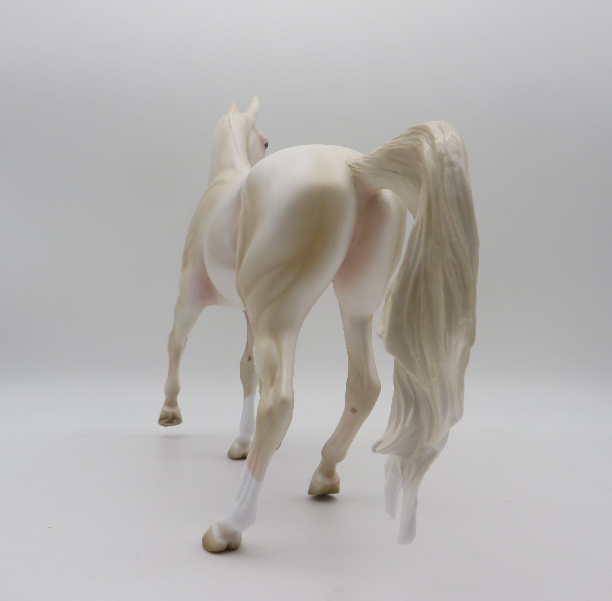 Loyalty Release- Custom Akhal-Teke Mare 3 Color Choices 11/22 Loyalty Club 22/23