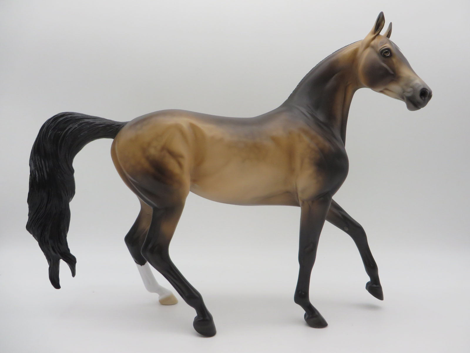 Loyalty Release- Custom Akhal-Teke Mare 3 Color Choices 11/22 Loyalty Club 22/23