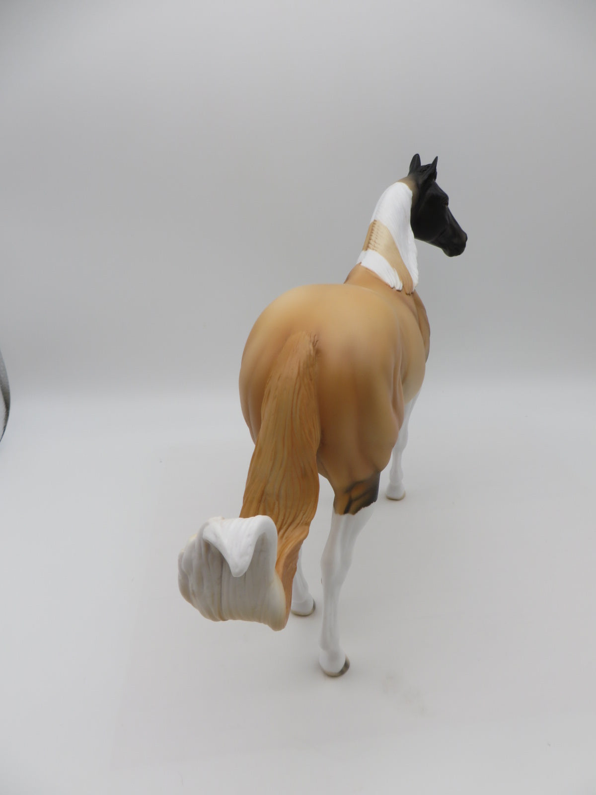 Pinto Bean - OOAK - Akita Inspired Buckskin Tobiano Ideal Stock Horse By Anglea Marleau - Paws &amp; Claws 2023 - P&amp;C 23