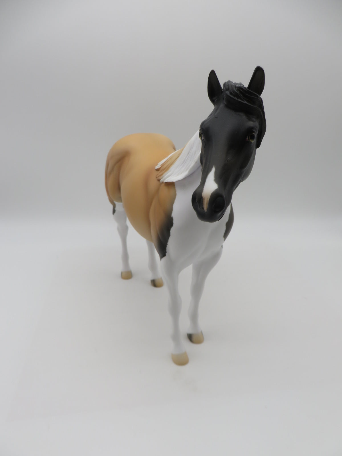 Pinto Bean - OOAK - Akita Inspired Buckskin Tobiano Ideal Stock Horse By Anglea Marleau - Paws &amp; Claws 2023 - P&amp;C 23