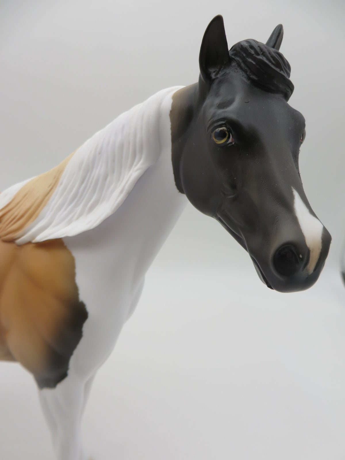 Pinto Bean - OOAK - Akita Inspired Buckskin Tobiano Ideal Stock Horse By Anglea Marleau - Paws &amp; Claws 2023 - P&amp;C 23