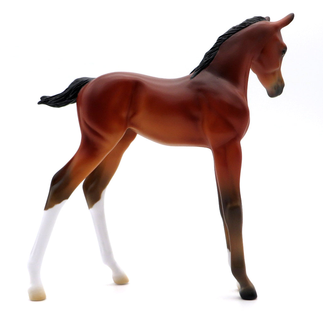 Thorn OOAK Bay Arabian Foal Painted By Ellen MM 21