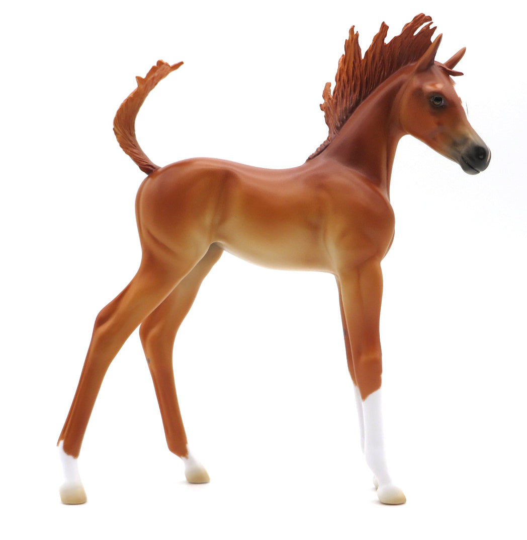 Sforzando OOAK Chestnut  Arabian Foal Painted By Ellen MM 21
