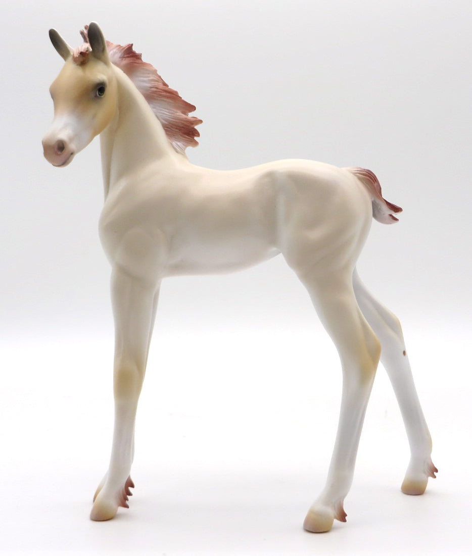 Elara OOAK  Arabian Foal Painted By Jas MM 21