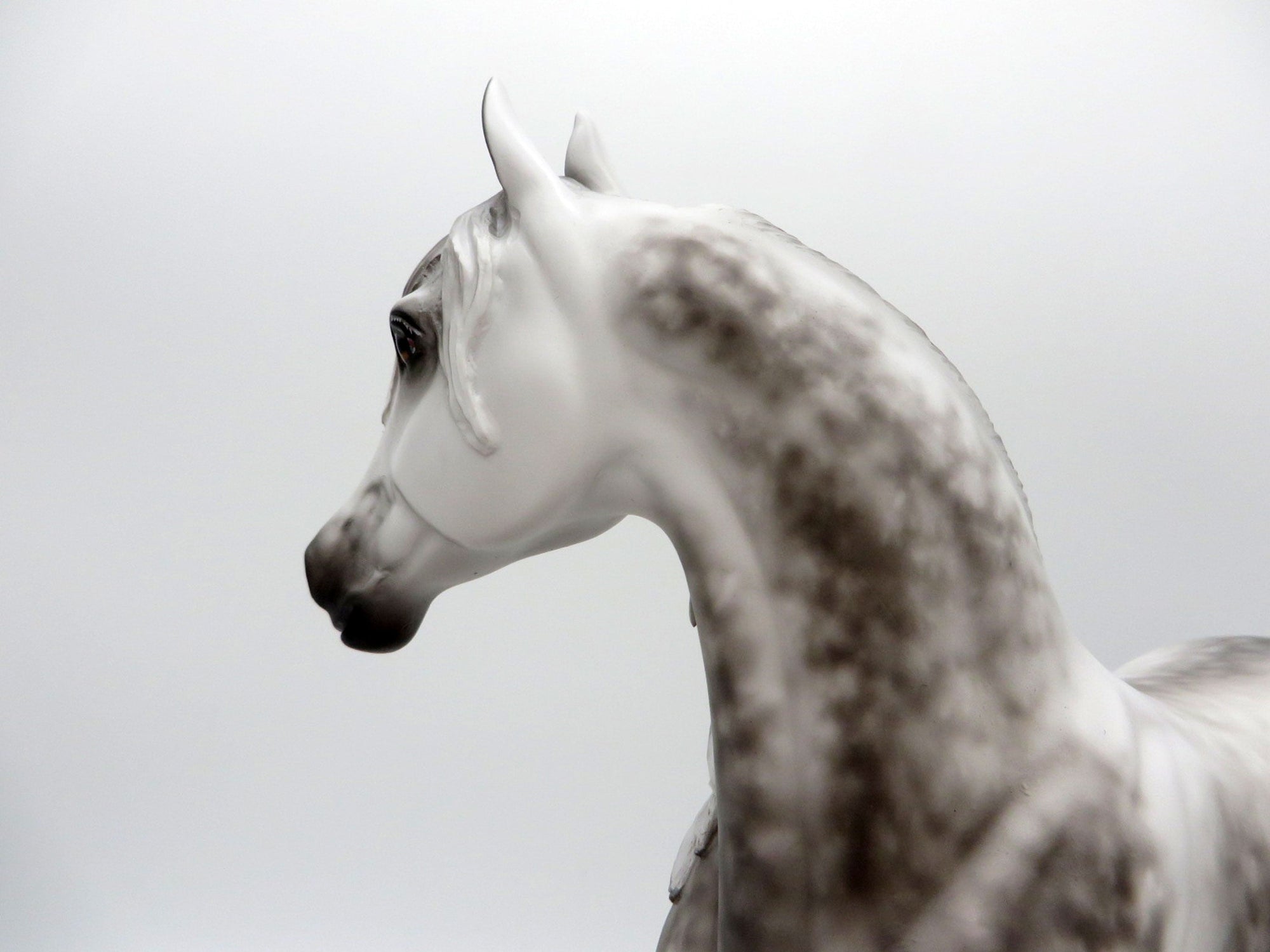 I&#39;ll Be Yours-OOAK Star Dapple Grey Arabian Mare Painted by Sheryl Leisure 8/1/21