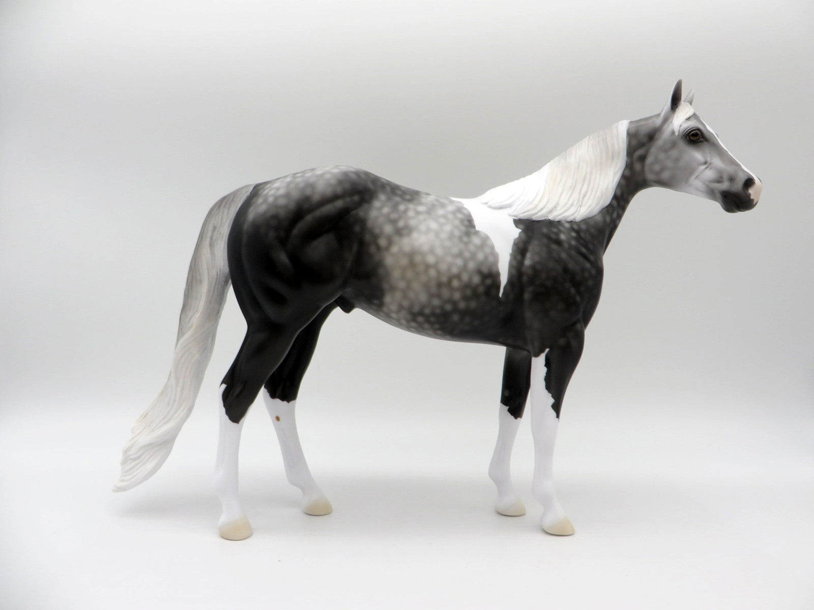 Idle Tongue-LE-3 Dapple Grey Paint ISH 5/7/21