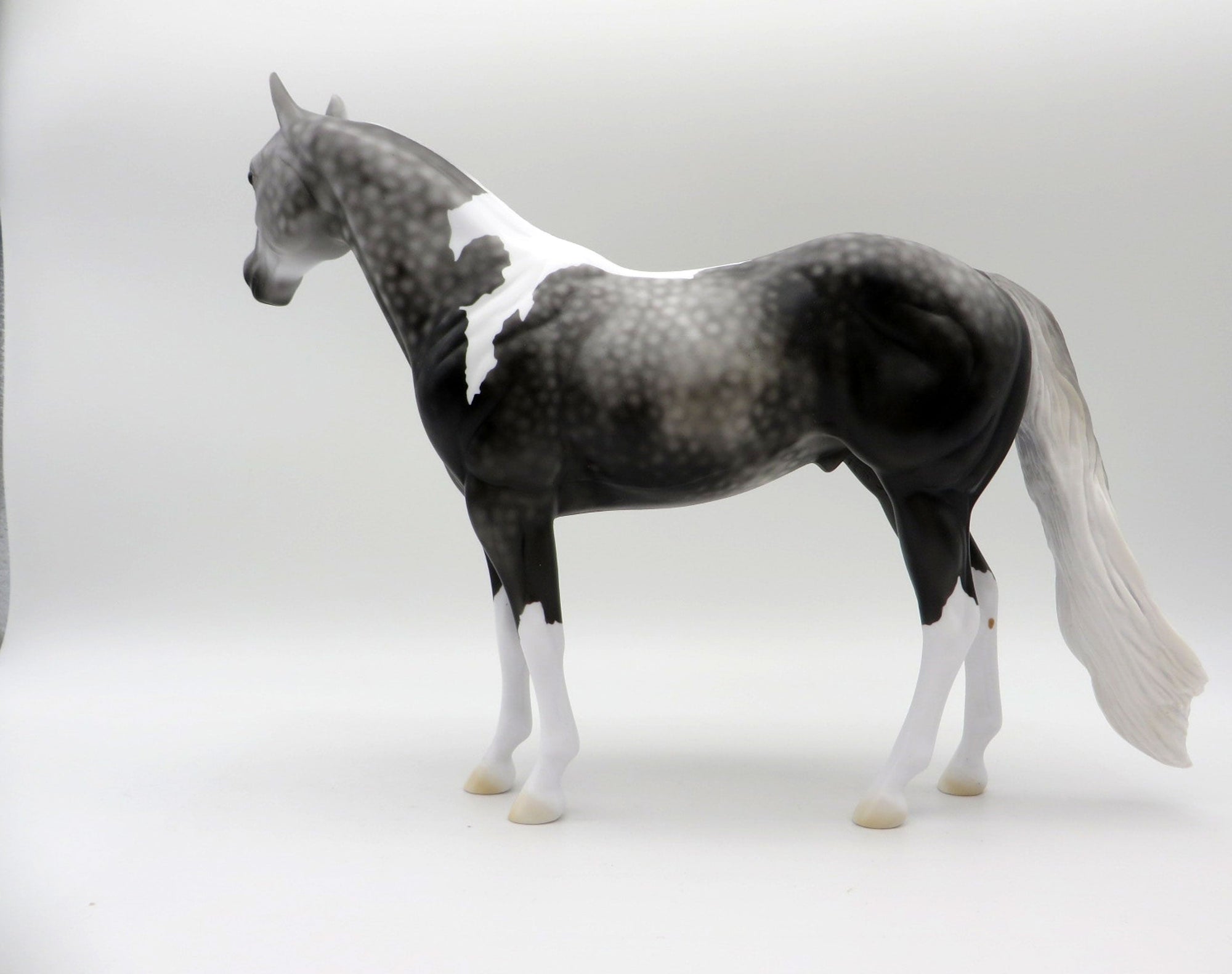 Idle Tongue-LE-3 Dapple Grey Paint ISH 5/7/21