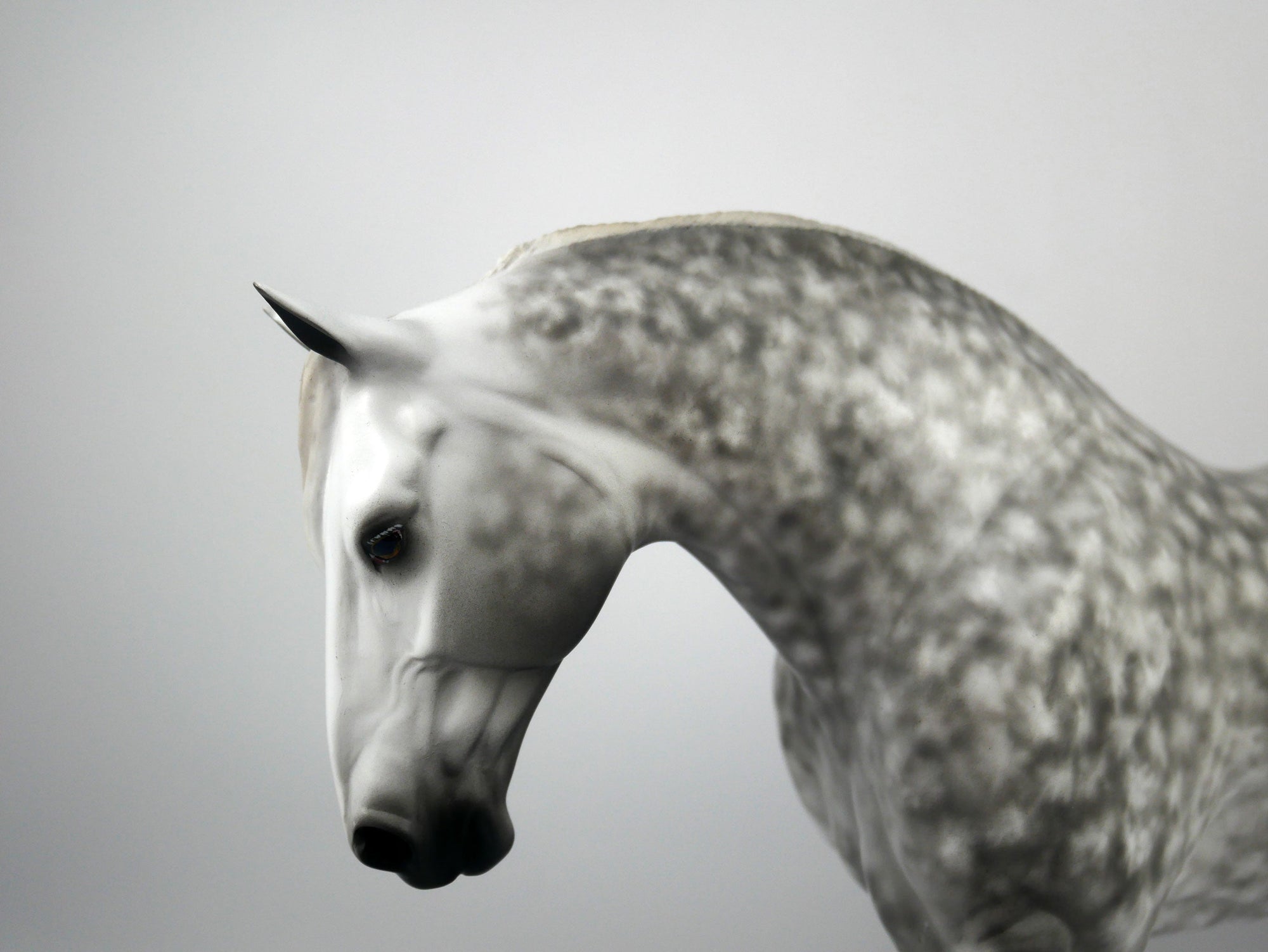 Ignatius-OOAK Dapple Grey Irish Draft Painted By Sheryl Leisure 1/15/21