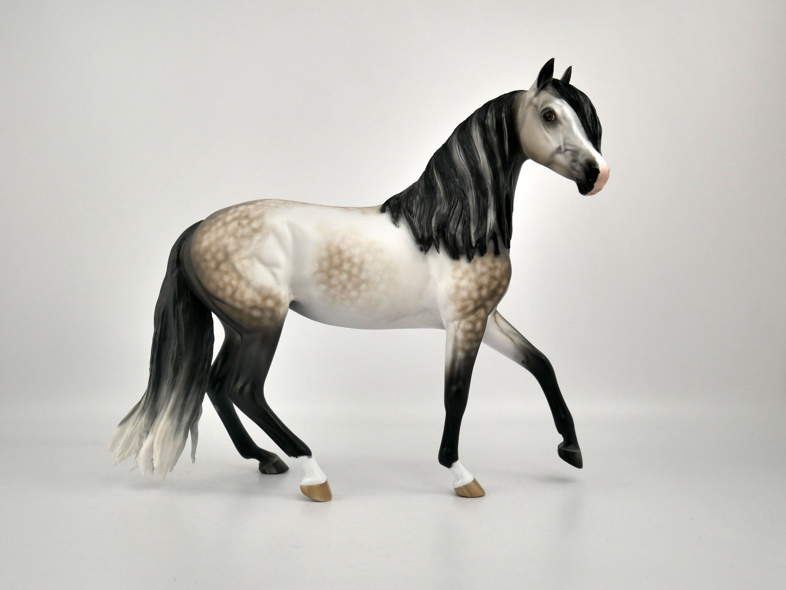IMOGEN-OOAK DAPPLE BAY GOING GREY ARABIAN  MARE BY SHERYL LEISURE 12/03/20