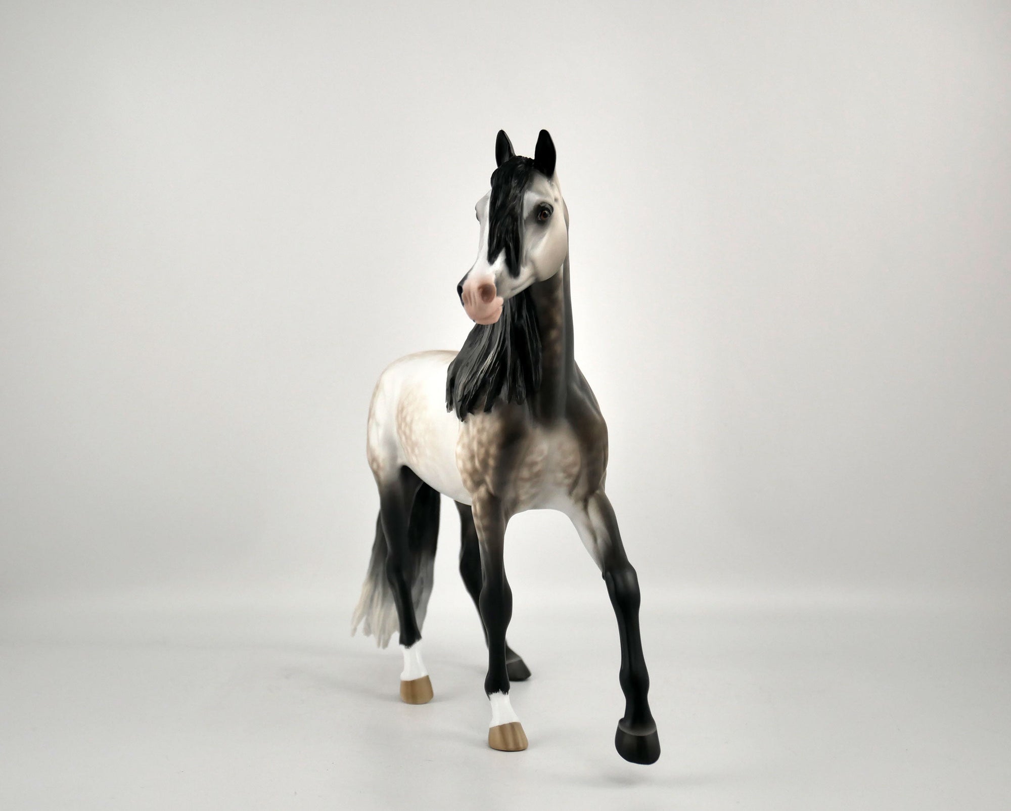 IMOGEN-OOAK DAPPLE BAY GOING GREY ARABIAN  MARE BY SHERYL LEISURE 12/03/20