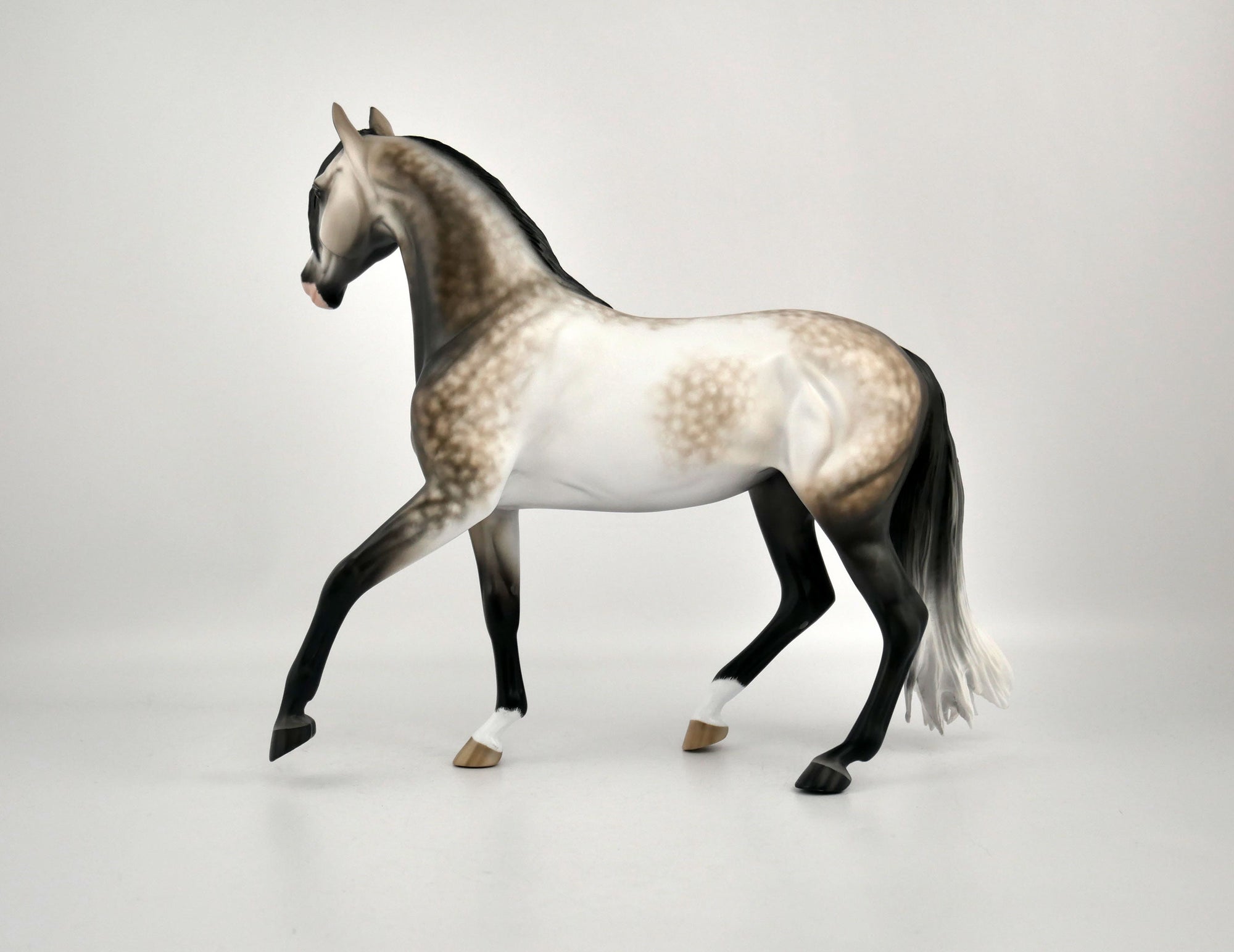 IMOGEN-OOAK DAPPLE BAY GOING GREY ARABIAN  MARE BY SHERYL LEISURE 12/03/20
