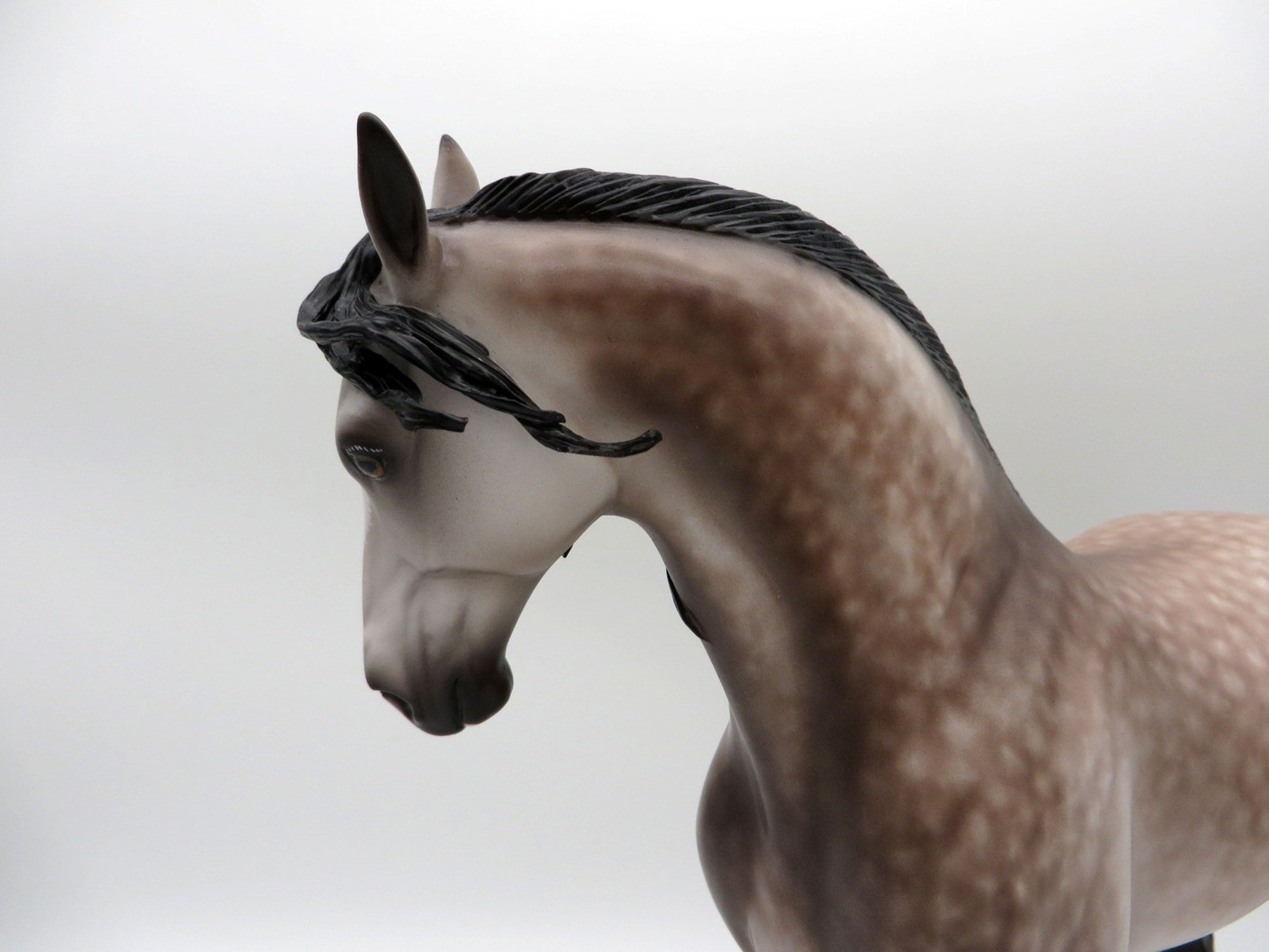 Imperial-OOAK Rose Grey Andalusian Painted by Sheryl Leisure 11/29/21