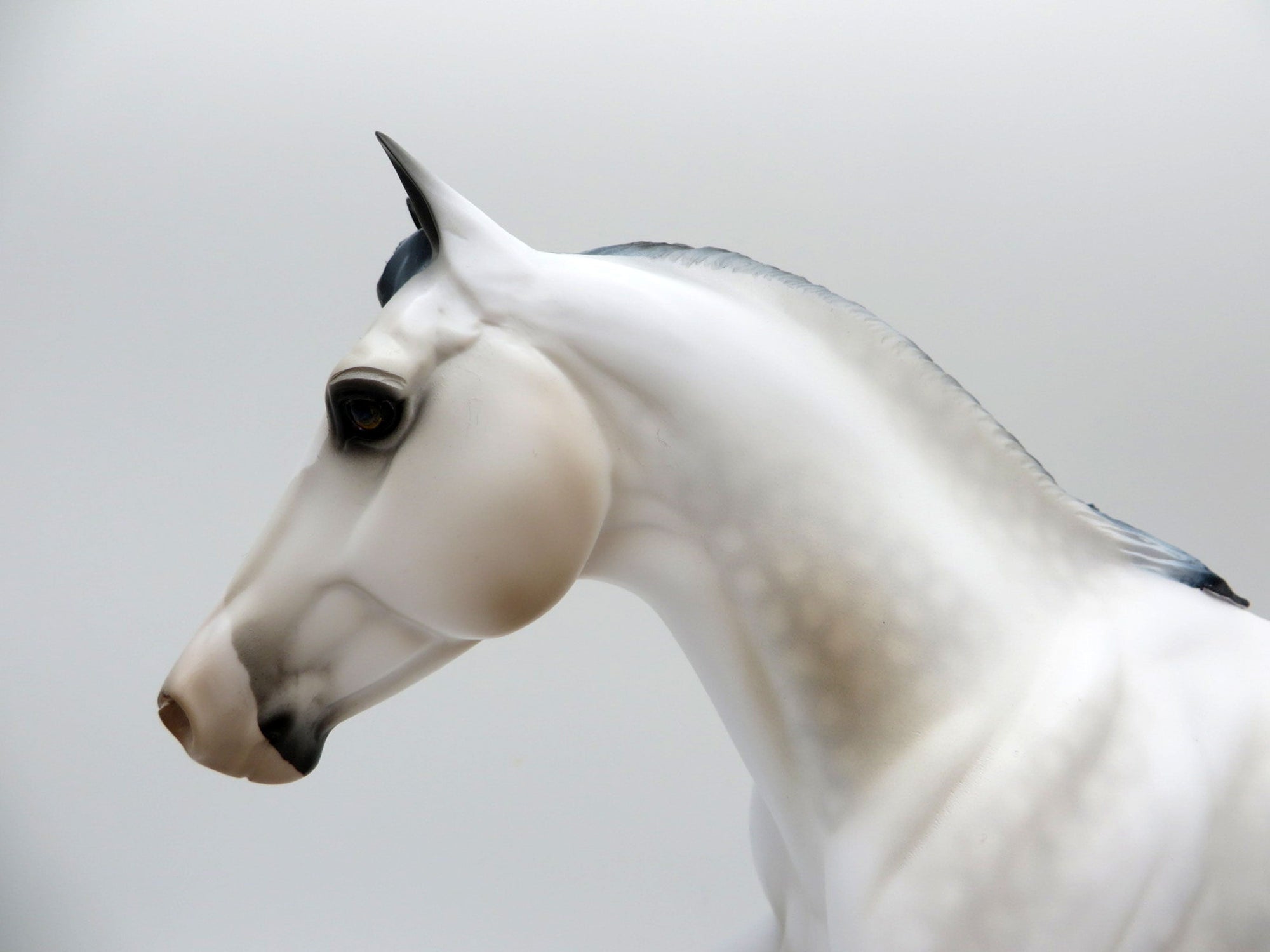 Impressionistic-Rose Grey Foundation Quarter Horse Painted By Audrey Dixon EQ 21