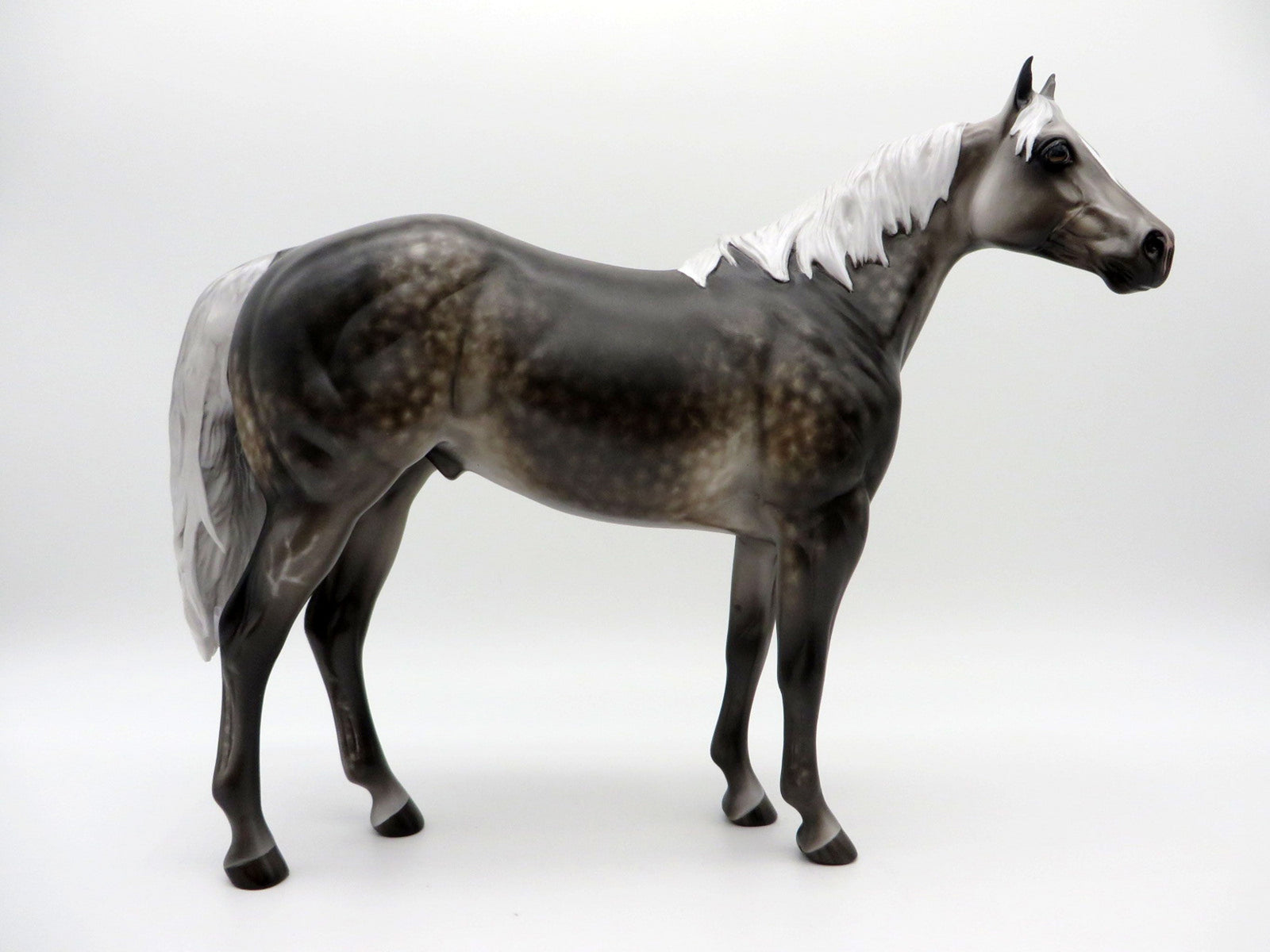 In The Air Tonight - OOAK Dapple Grey ISH Painted By Sheryl Leisure 7/19/21